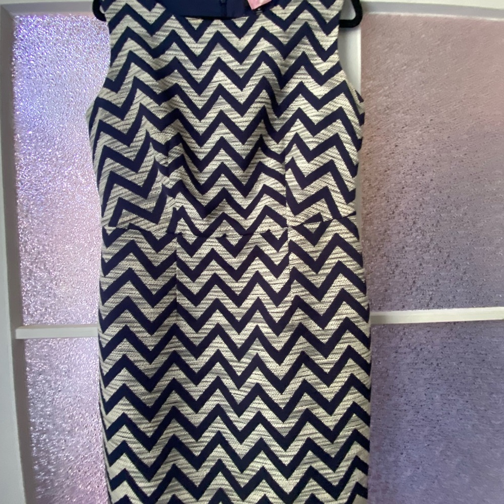 The Limited Navy and White Midi Chevron Dress Size 10